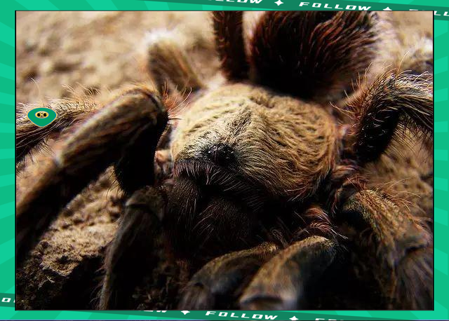 亚博-莱万多夫斯基赛事官方发布比分优势明显新规，湖人争议不断！的简单介绍